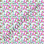 Colour:B