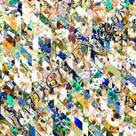 Colour:A