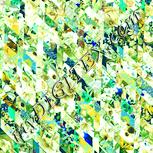 Colour:K