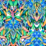 Colour:F