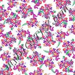 Colour:B