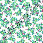 Colour:C