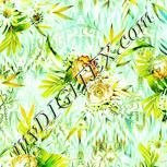 Colour:K