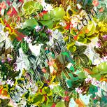 Colour:A