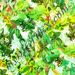 Colour:K