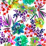 Colour:B