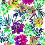 Colour:C