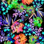 Colour:F