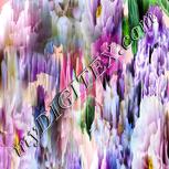 Colour:A