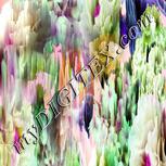 Colour:B