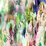 Colour:C
