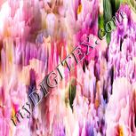 Colour:J