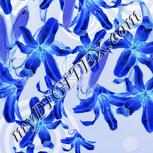 Colour:F