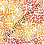 Colour:A