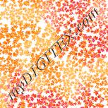 Colour:J