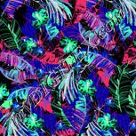Colour:F
