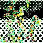 Colour:K