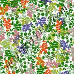 Colour:A