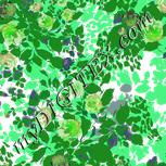 Colour:B