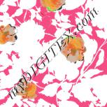 Colour:C