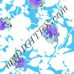 Colour:K