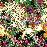 Colour:K