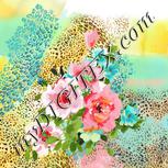 Colour:A