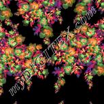 Colour:F