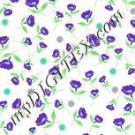 Colour:D