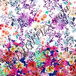 Colour:B