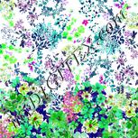 Colour:C