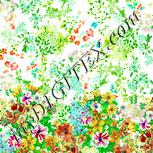 Colour:K