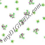Colour:C
