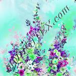 Colour:C