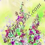 Colour:D