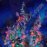 Colour:F