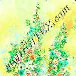 Colour:K