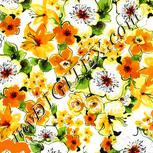 Colour:A