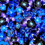 Colour:F