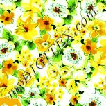 Colour:K