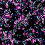 Colour:F