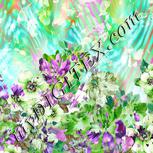 Colour:C