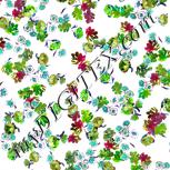 Colour:C