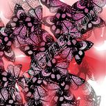 Colour:B