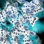 Colour:F