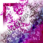 Colour:C