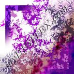 Colour:D