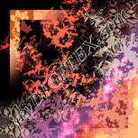 Colour:F
