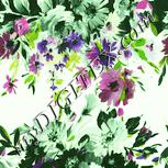 Colour:K