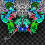 Colour:F